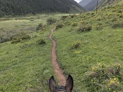 -山丹皇家马场