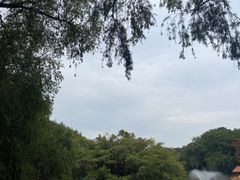-深圳野生动物园