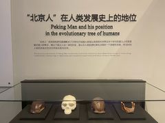 -北京周口店北京人遗址博物馆