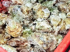 -巽寮印象美食部落餐厅·海鲜·地方特色菜(惠州体验店)