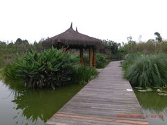 -白鹭湾湿地公园