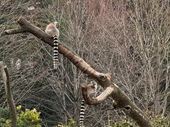 -上海野生动物园