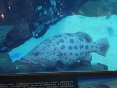 -成都浩海立方海洋公园