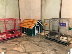 -上海崇明金茂凯悦酒店