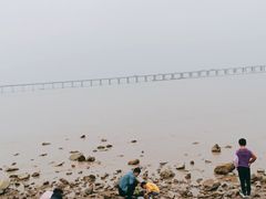 -宝安西湾红树林湿地公园