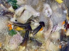 -千岛蚝高压锅生蚝·人参火锅(白云万达店)