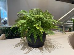 -隅乐胡椒虾·台湾菜·团建(皇岗店)