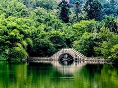 -南沙蒲洲花园