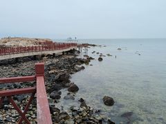 -养马岛旅游度假区