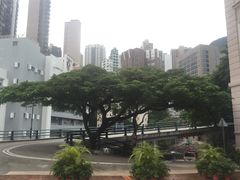 -香港大学
