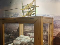 -国家自然博物馆