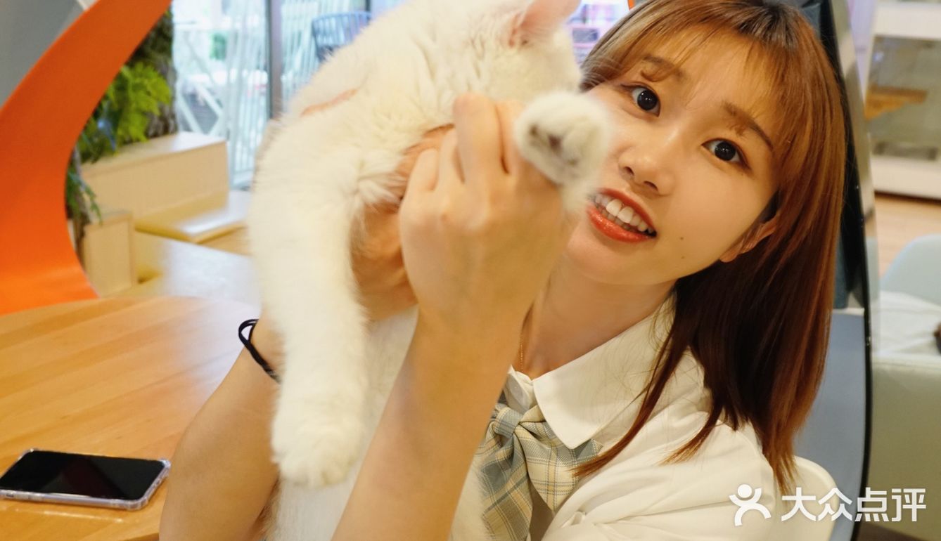 北京探店｜猫咪后院实现撸猫自由🐱