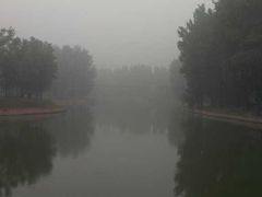 景点-顺鑫绿色度假村