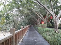 -大屏嶂森林公园