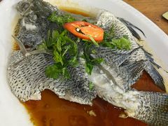 -八仔大富楼·河鲜(西江店)
