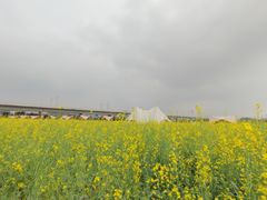 -光明小镇欢乐田园