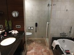 -新加坡文华东方酒店