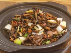 -云海肴·汽锅鸡·云南菜(广安门天虹店)
