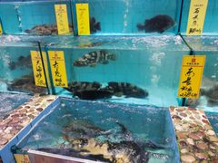 -有腥气私房菜·寻味顺德