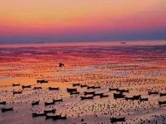 -枸杞岛