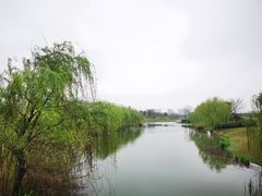 -瑶湖郊野森林公园