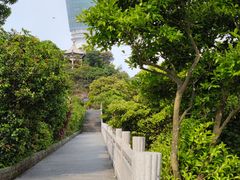 -梧桐山风景名胜区