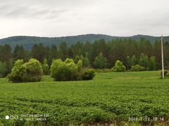 -北极村旅游风景区