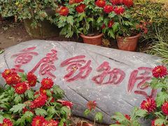 -重庆动物园·东二门售票处