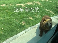 -北京野生动物园