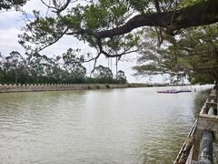 -大湾区中央湿地公园