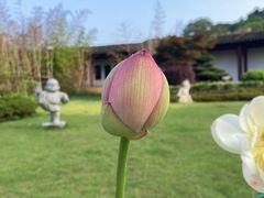 -灵山胜境