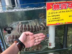 -蚝专家(北滘店)