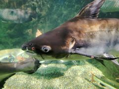 -太平洋海底世界