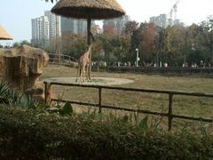 android_upload_pic-南昌动物园