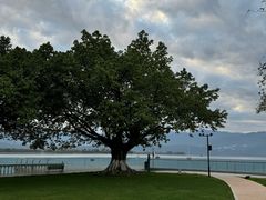 -西昌邛海宾馆
