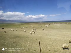 -青海湖国家重点风景名胜区