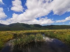 -腾冲北海湿地