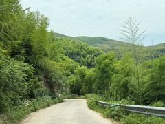 -莫干山风景区