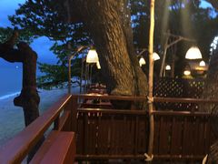 -卷心菜和避孕套餐厅(Pattaya)