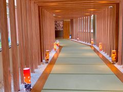 -重庆南山海昌汤都