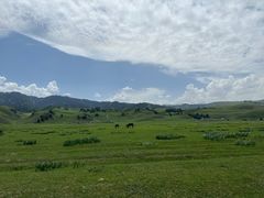 -新疆那拉提国家旅游度假区