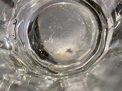 -百味源炭火烤翅 ·夜市大排档(酒仙桥店)
