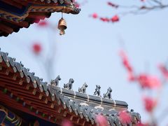 -梅花山(明孝陵内)