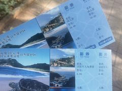 -广东惠东海龟国家级自然保护区
