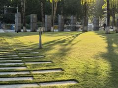 -重庆市江北嘴中央商务区中央公园