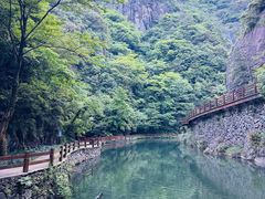 -花溪风景区