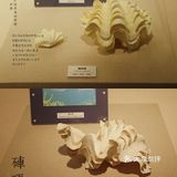 北京自然博物馆临展：邮票+贝壳爱好者冲鸭！