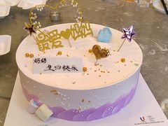 -维尔纳斯·生日蛋糕动物奶油冰淇淋蛋糕(人大店)