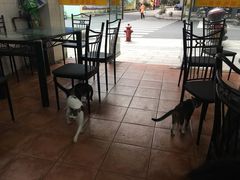-五福堂龟苓膏(河东北山店)