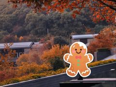 -湘湖逍遥庄园·水漾中餐厅